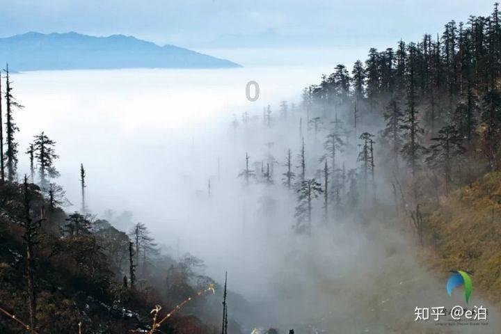 【我为群众办实事】忻州农商银行蓉城支行:踏雪出行解难题 真情为民暖人心