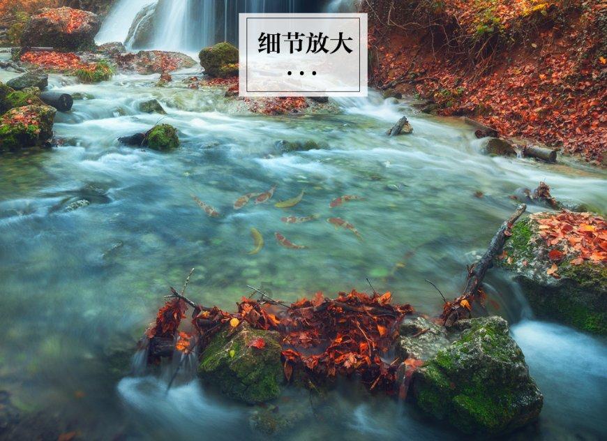 海云端私人管家贵宾骗局:真豪华还是假高端?