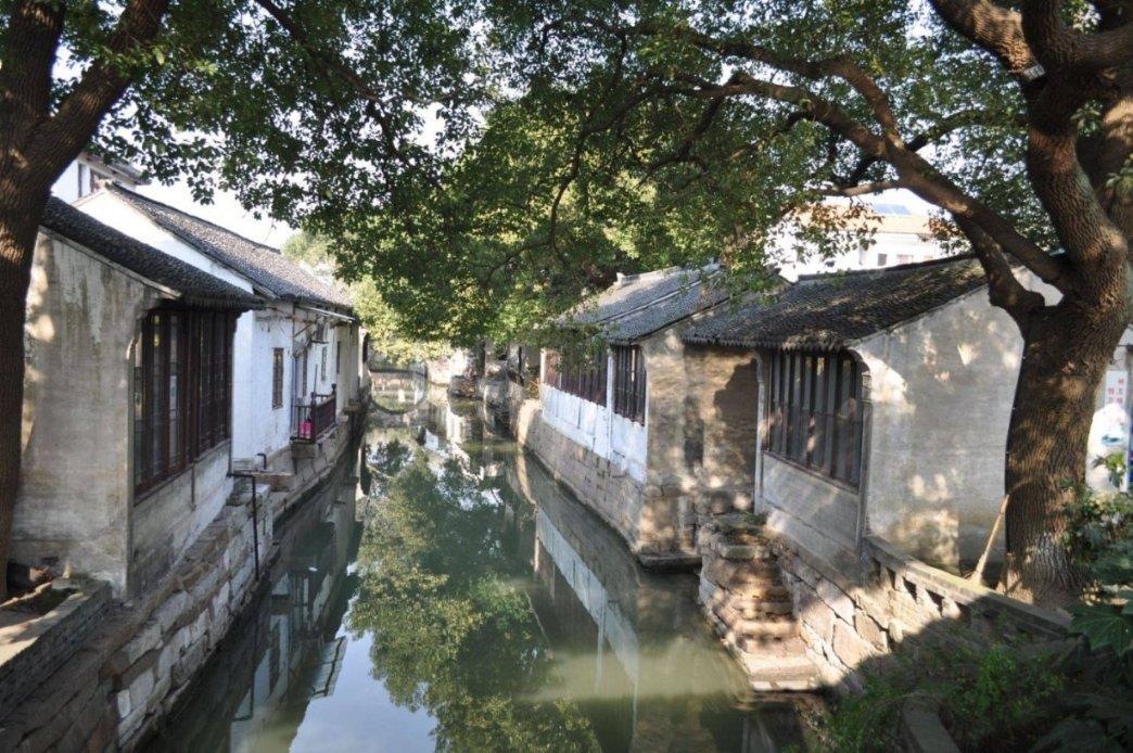 逃离鱼店